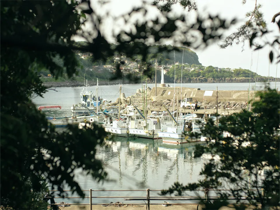 Amagi deep seawater pumped up from 1,000 meters underground