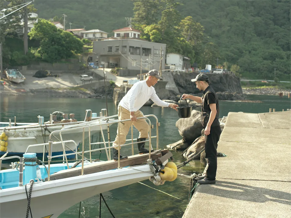 A wide variety of mushrooms from the Izu Peninsula